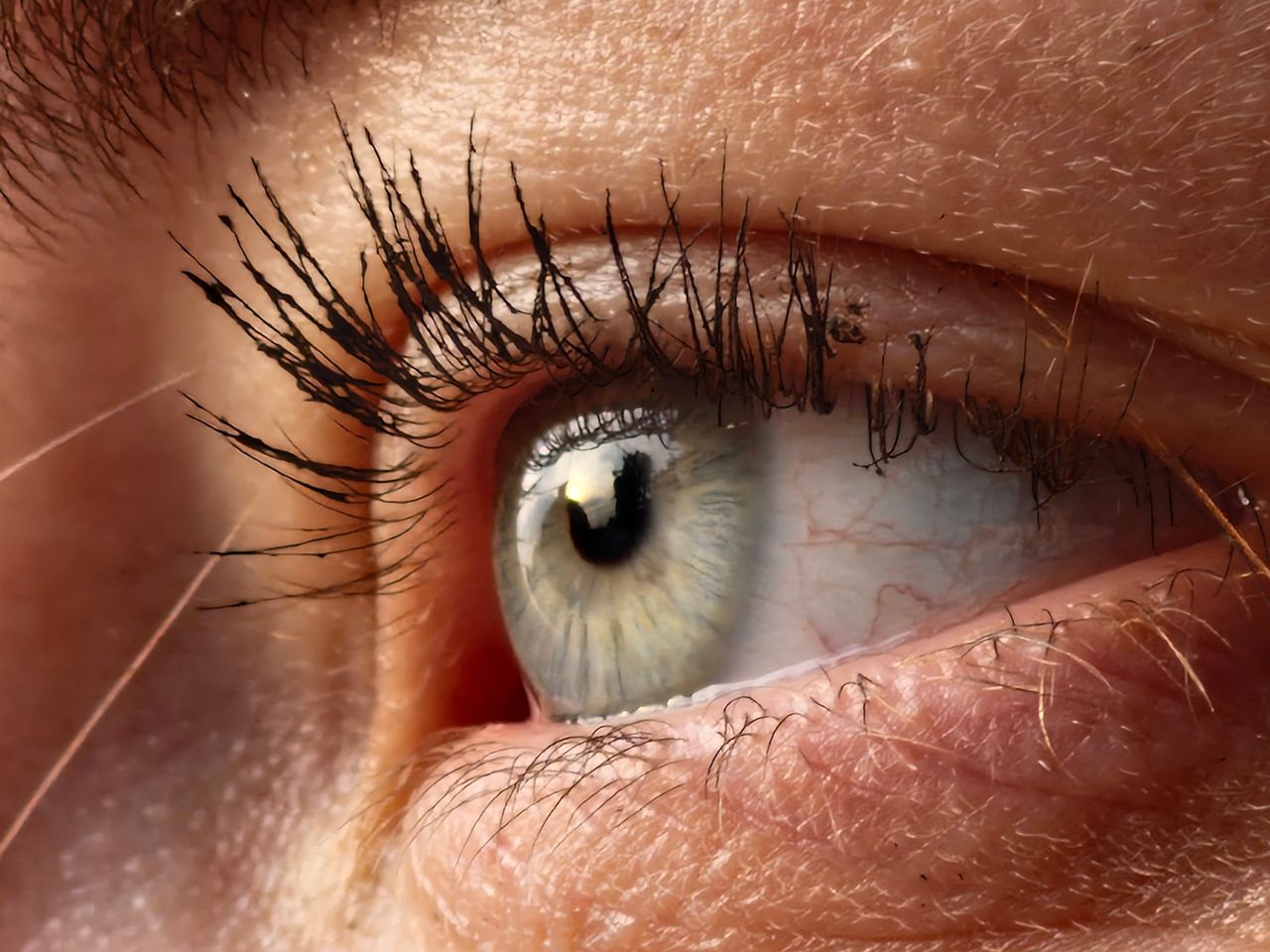 Optician performing eye health examination at home