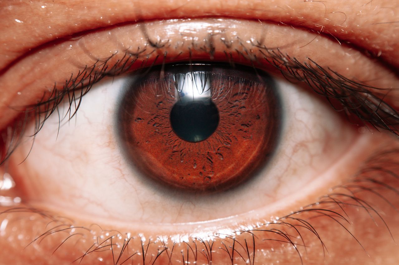 Elderly person reading with macular degeneration